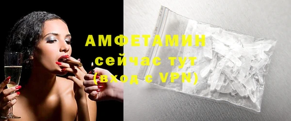 мдпв Бородино